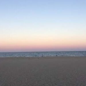 Meet your Posher, Baylee